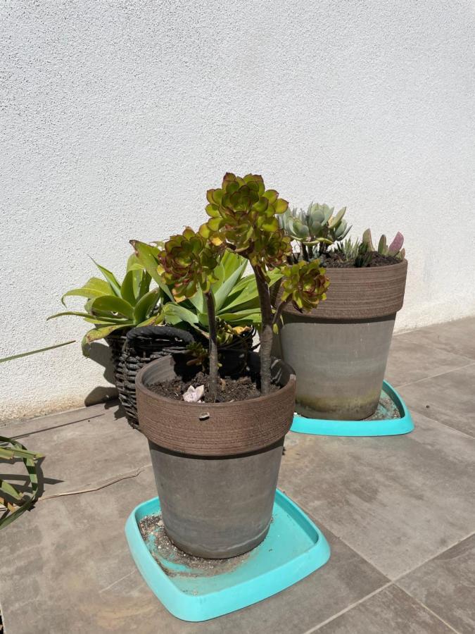 Mini K2 Villa